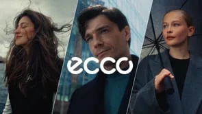 Кадр из ECCO